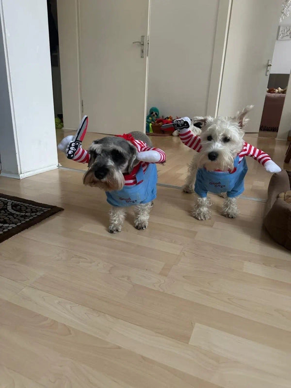 Disfraz de Halloween para perro – Chucky