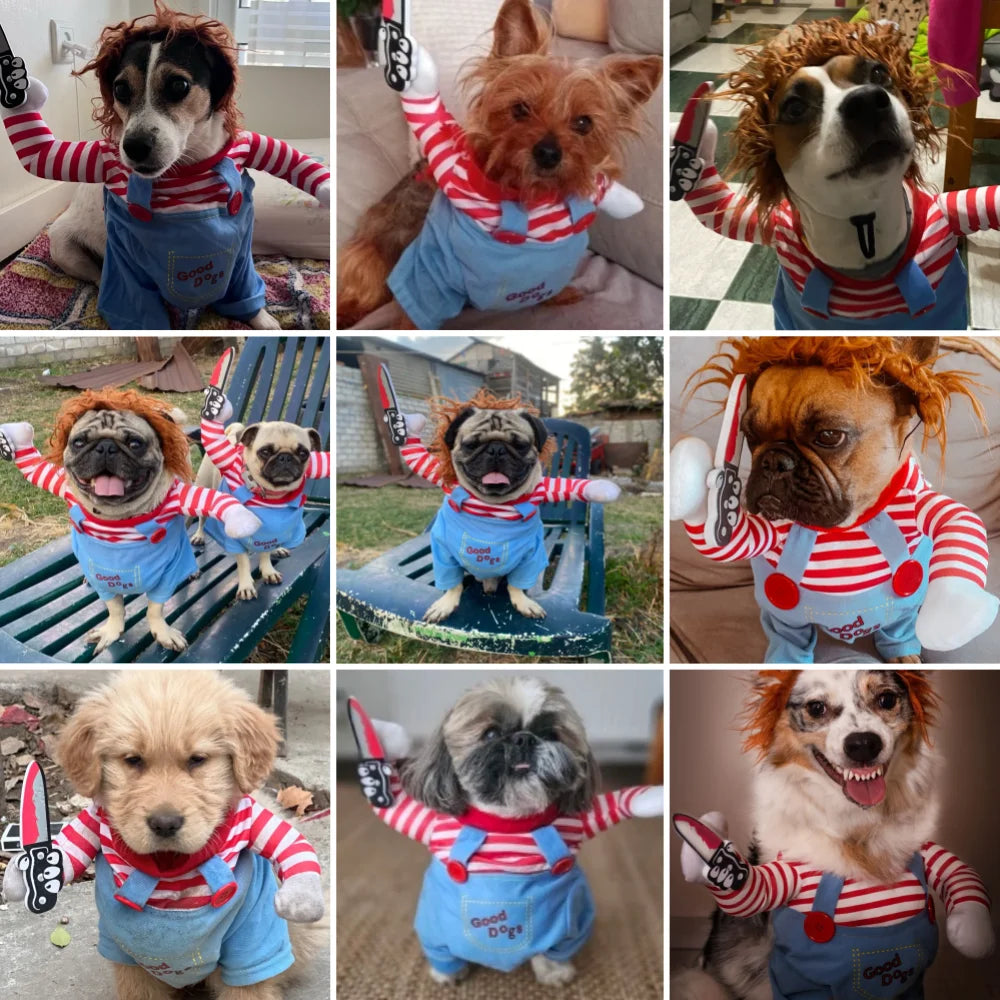 Disfraz de Halloween para perro – Chucky